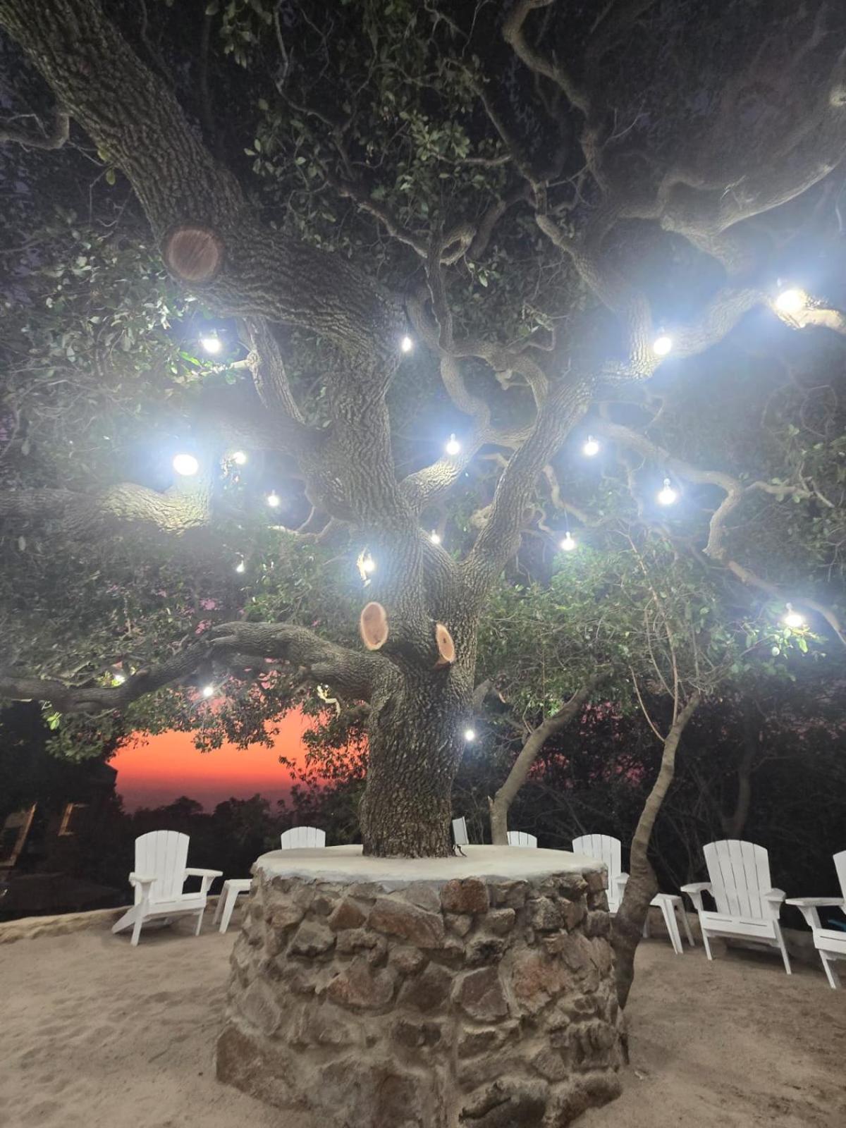 Rocky Mountain Holiday Home Hartbeespoort Dış mekan fotoğraf