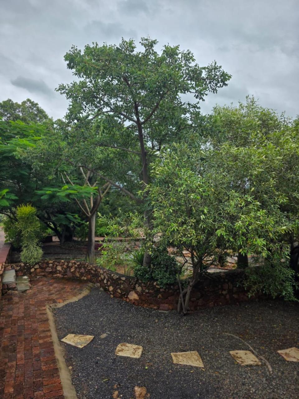 Rocky Mountain Holiday Home Hartbeespoort Dış mekan fotoğraf